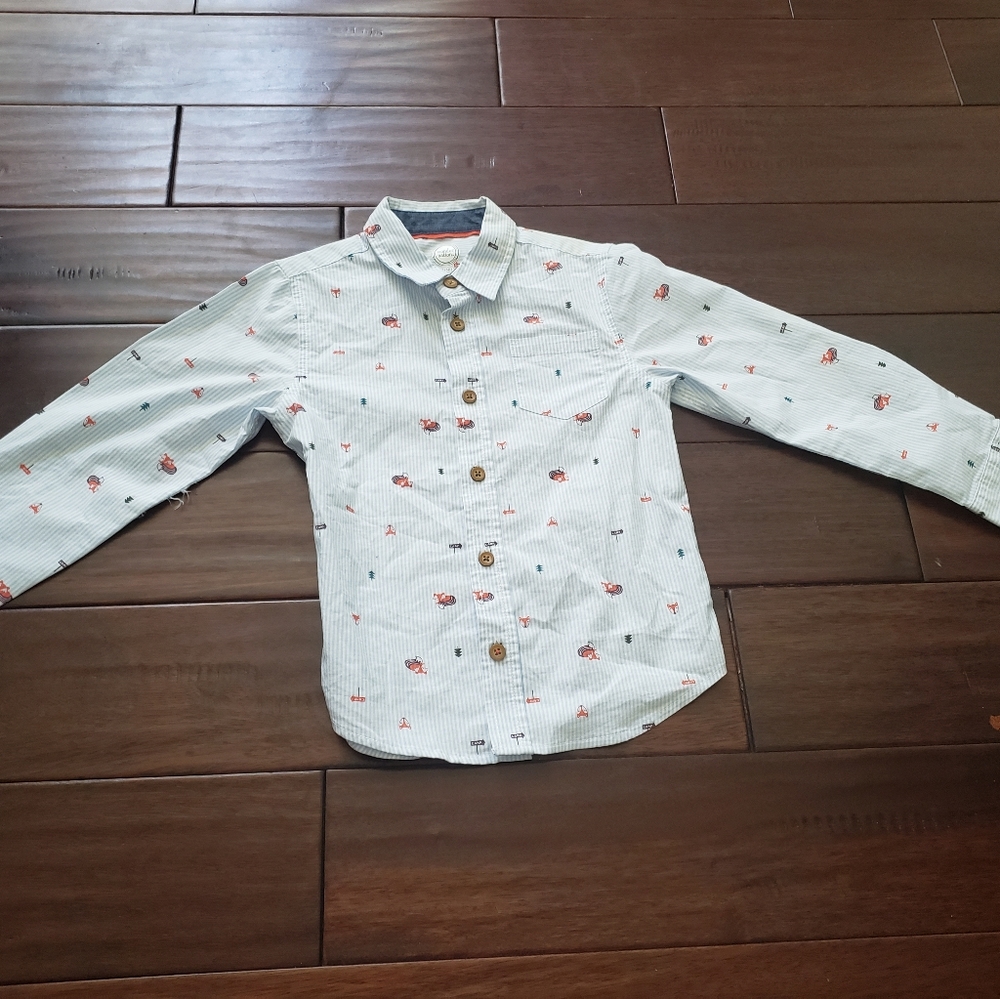 Boys Striped Novelty Print Button Down